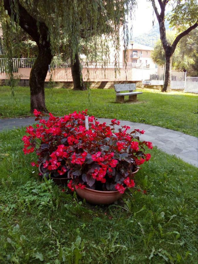 Casa Vacanze Moggio Moggio  Buitenkant foto